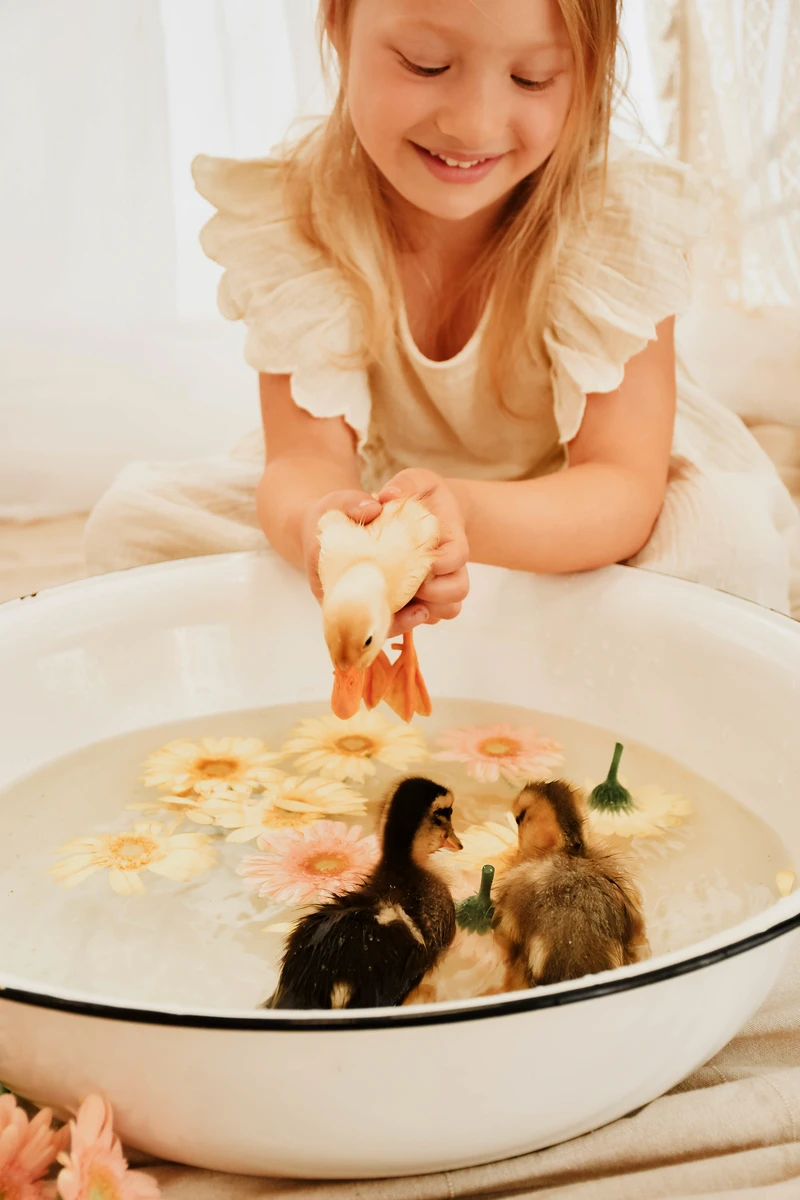Mini-Shooting mit Entenküken Nordhausen – Enten schwimmen zwischen Blüten