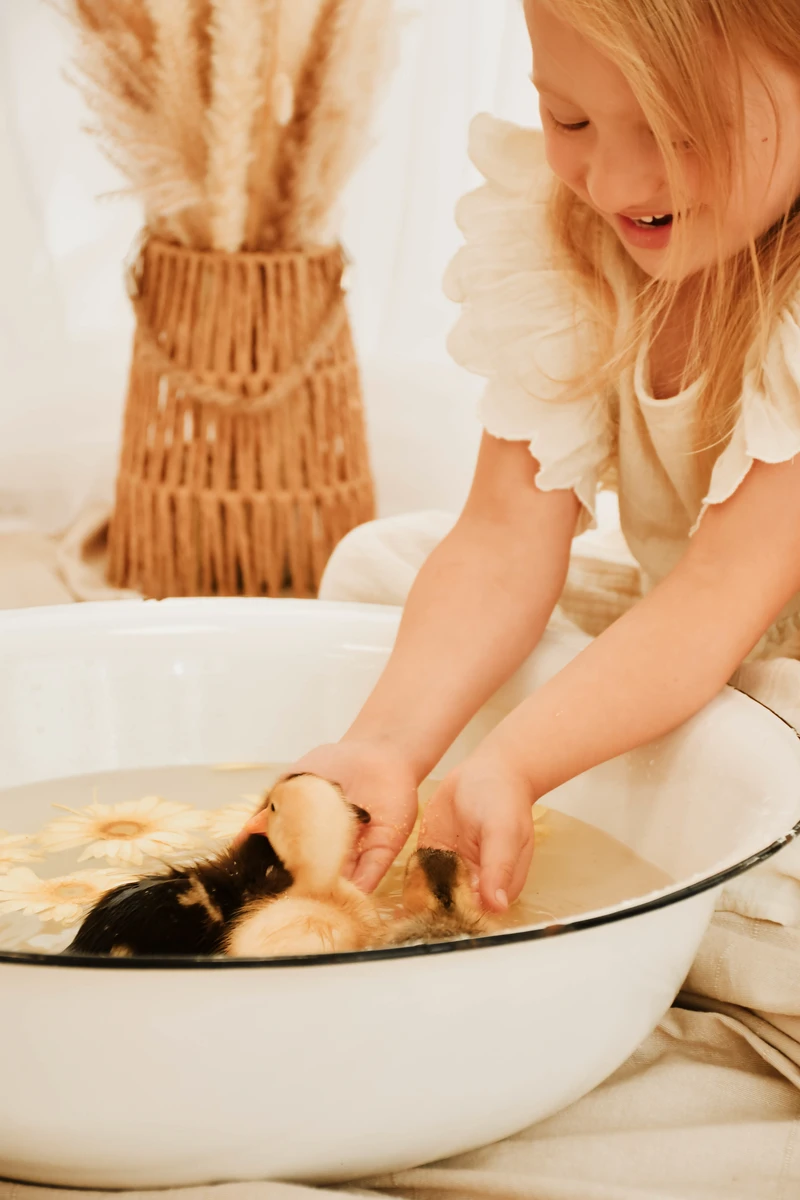 Mini-Shooting mit Entenküken Nordhausen – Küken wird sanft gehalten