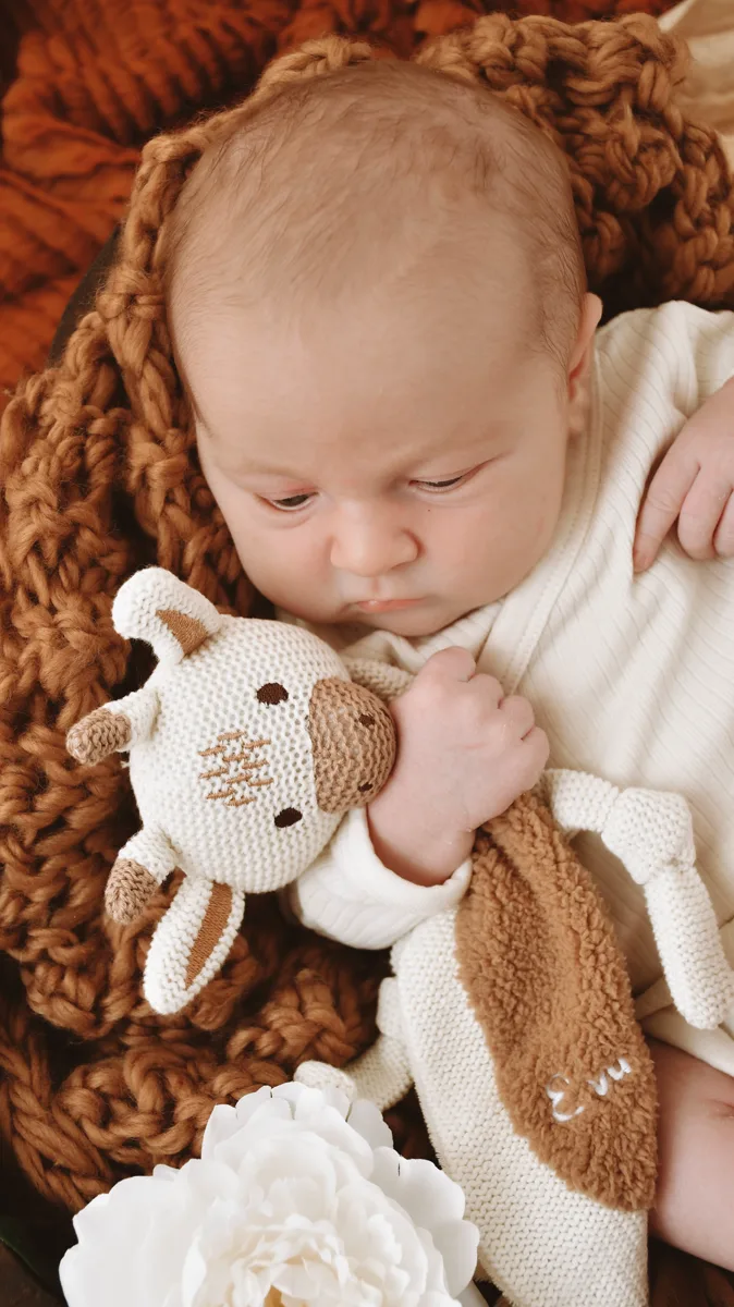 Newborn mit Kuscheltier Giraffe Nordhausen